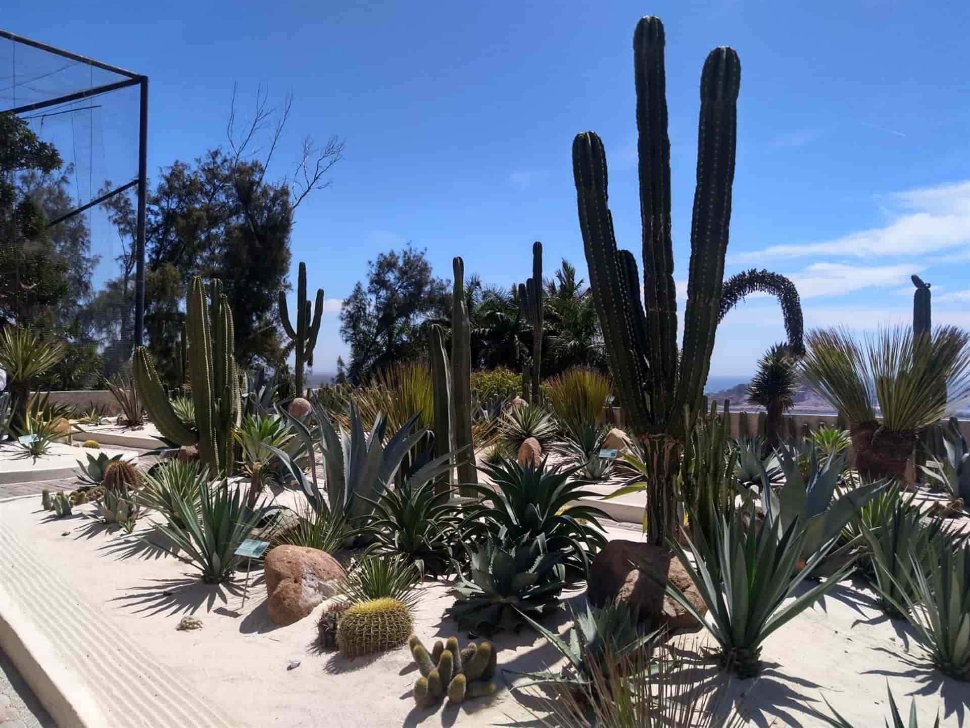 Sinaloa “arrasa” a nivel nacional en concurso de fotografía a la naturaleza