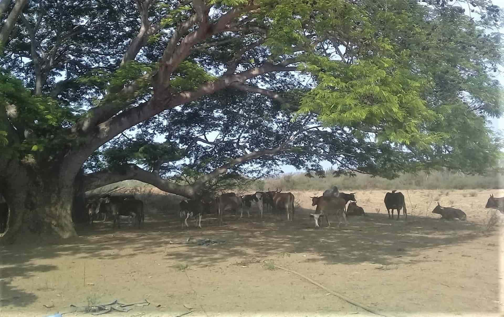 FOTO: Archivo Luz Noticias.