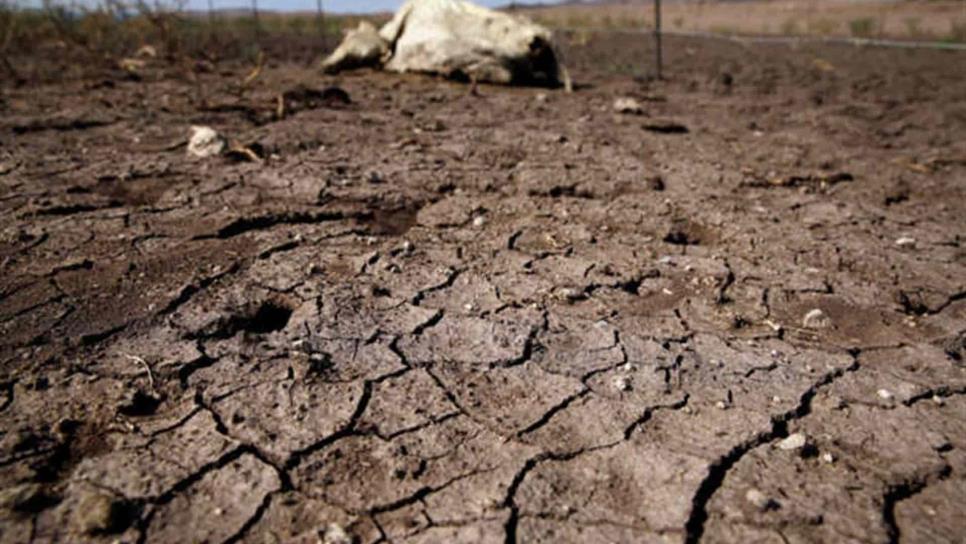 Abril y mayo, los meses más secos del 2022