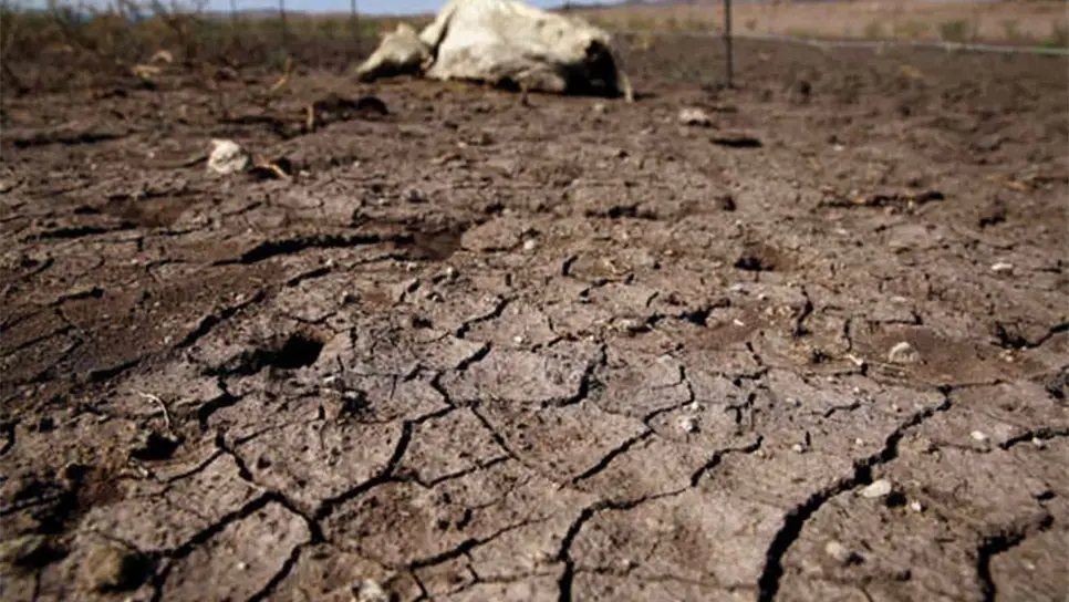 Preocupa la sequía; pide la SAyG a dependencias cuidar el agua
