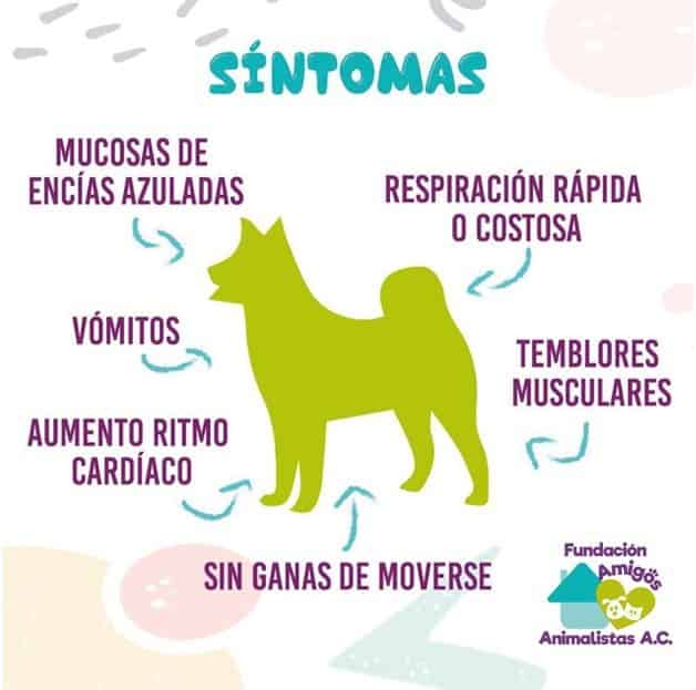 Imagen Placeholder