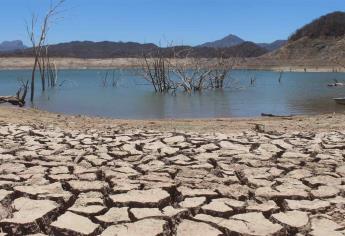 Tandean agua potable en Choix