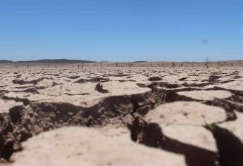 Urge mejorar el uso del agua en el riego agrícola ante problemas de sequía: Conselva