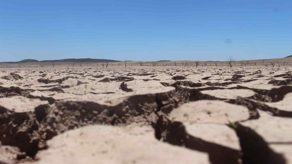 Urge mejorar el uso del agua en el riego agrícola ante problemas de sequía: Conselva