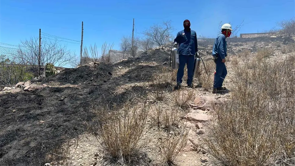 Personal de la termoeléctrica combate incendio en Topolobampo