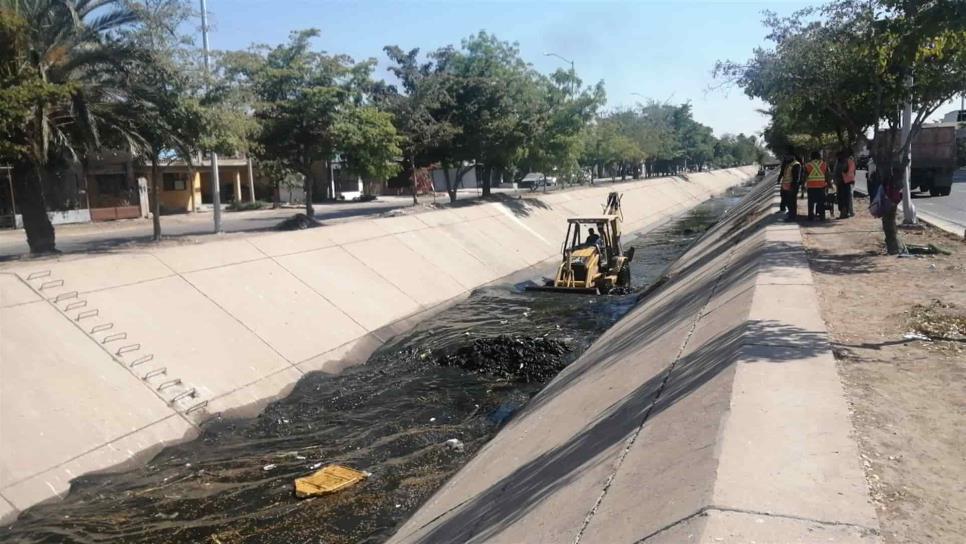 Avanza limpieza y desazolve de drenes en Ahome