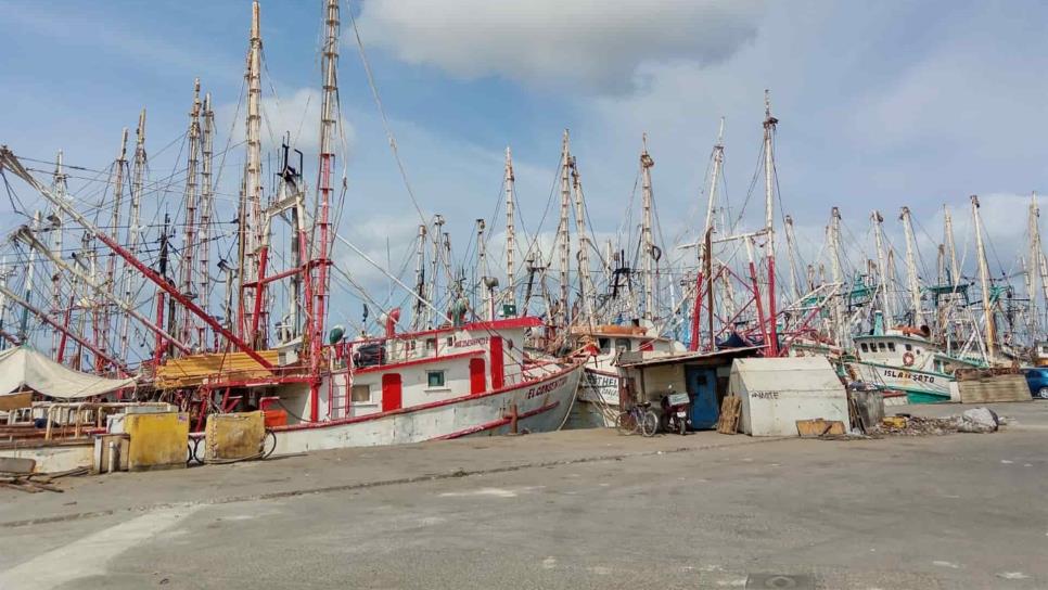 La falta de refugios se suma a las debilidades de la flota camaronera de Mazatlán