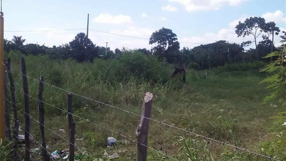 FOTO: Víctor Acosta.