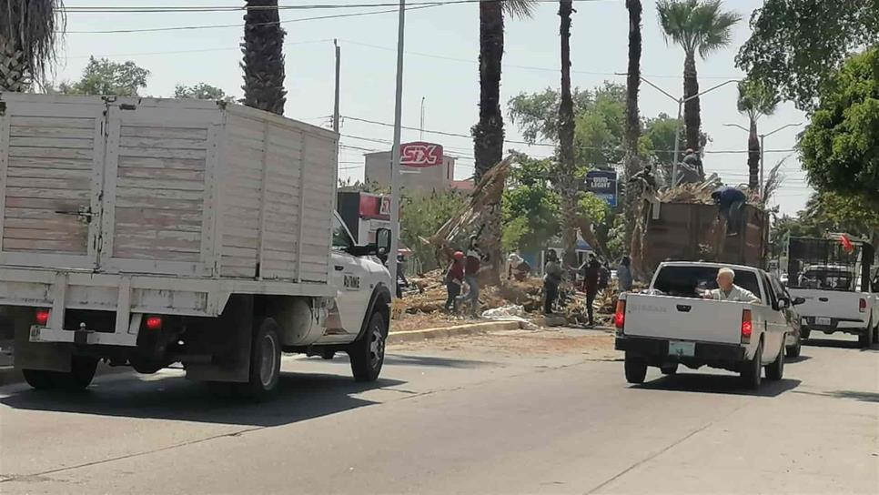 Inician trabajos de embellecimiento de camellones de Los Mochis