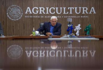 Cervecerías comprarán 500 mil toneladas de cebada a campesinos mexicanos