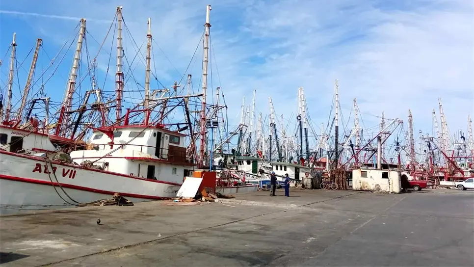 FOTO: Teresita Rodríguez.