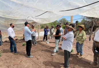 El próximo 6 de junio habrá una agradable sorpresa en Sinaloa: Sergio Torres