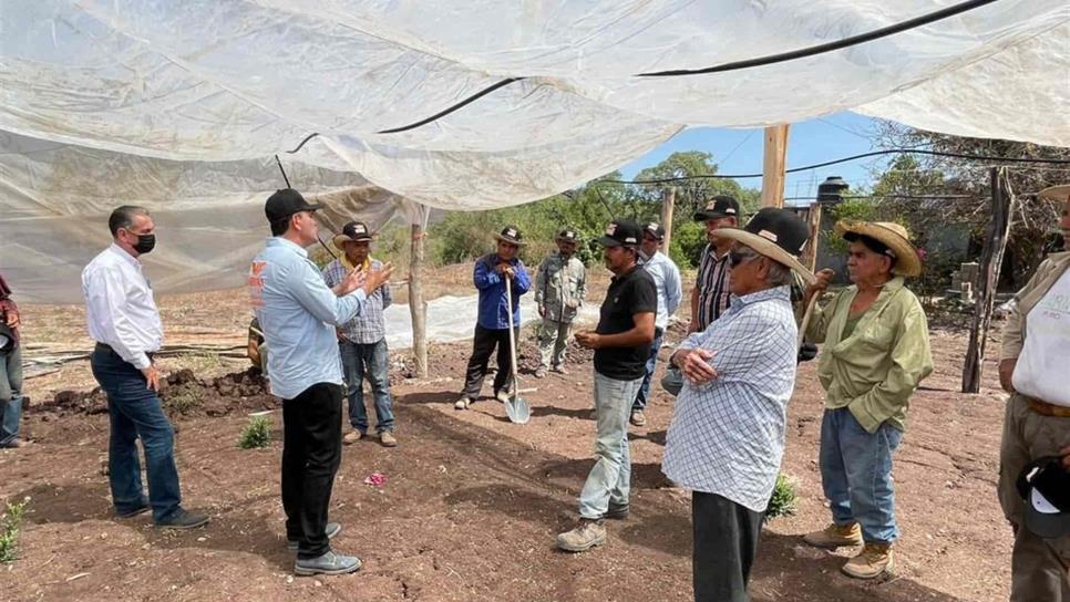 El próximo 6 de junio habrá una agradable sorpresa en Sinaloa: Sergio Torres