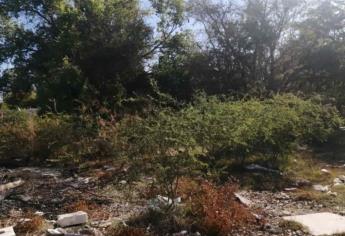 Atiende Desarrollo Urbano de Ahome queja de vecinos de Valle de la Rosa
