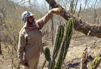 Biólogos de la UAS trabajan en la conservación de especies de la Reserva El Chirimole