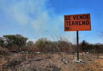 Piden sancionar a quienes quemen y mantengan sucios los lotes baldíos