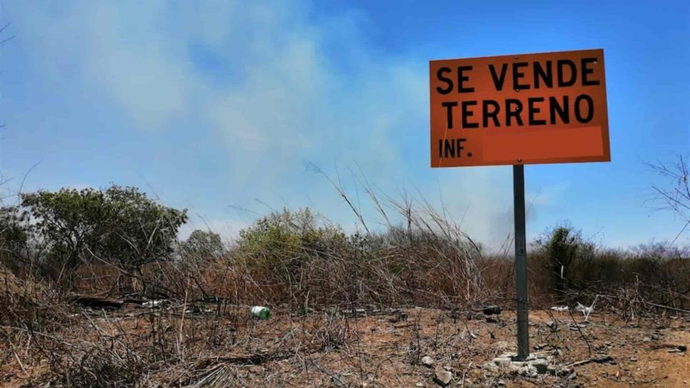 Piden sancionar a quienes quemen y mantengan sucios los lotes baldíos