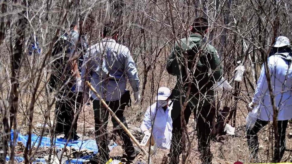 Localizan tres cuerpos en fosa clandestinas en Caitime, Salvador Alvarado