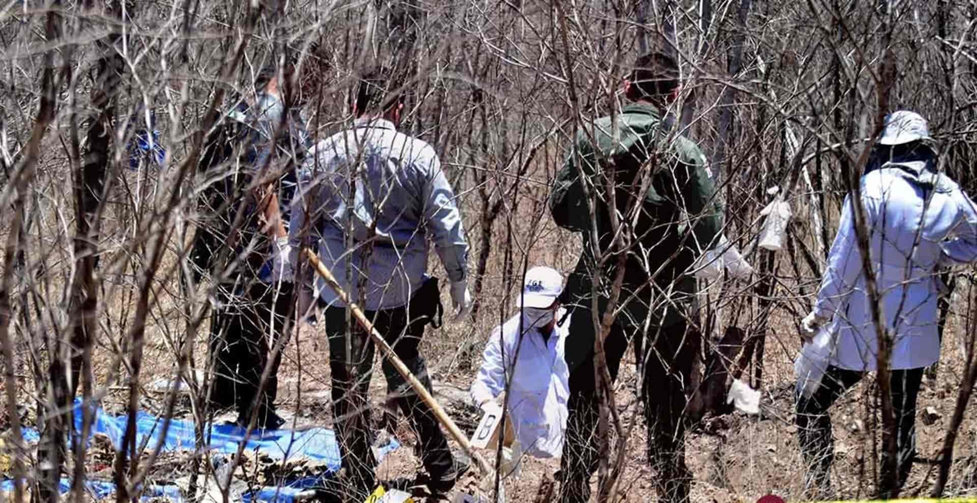 Localizan tres cuerpos en fosa clandestinas en Caitime, Salvador Alvarado
