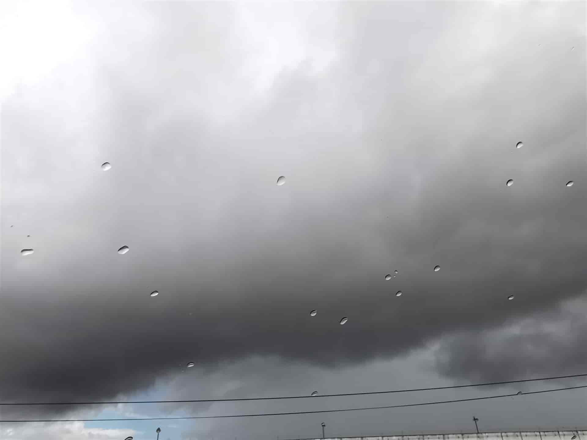 FOTO: Luz Noticias | Temática.