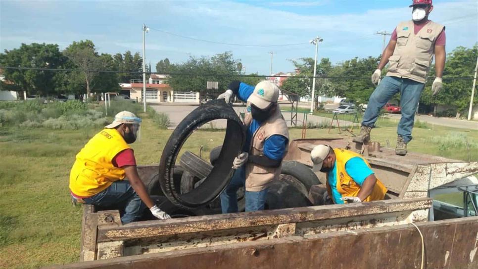 «El Químico» Benítez solicitará apoyo a Gobierno del Estado para fumigar y abatizar Mazatlán