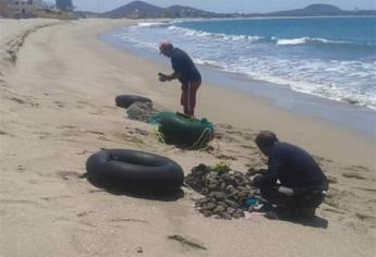 Piden pescadores artesanales respetar la veda de ostión de piedra