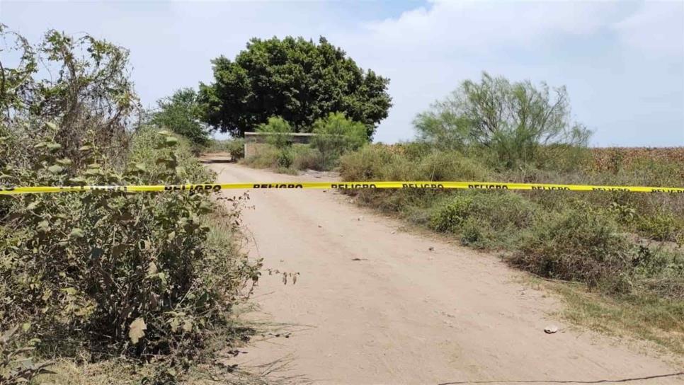 Asesinan brutalmente a una pareja en Guasave; al hombre lo decapitaron