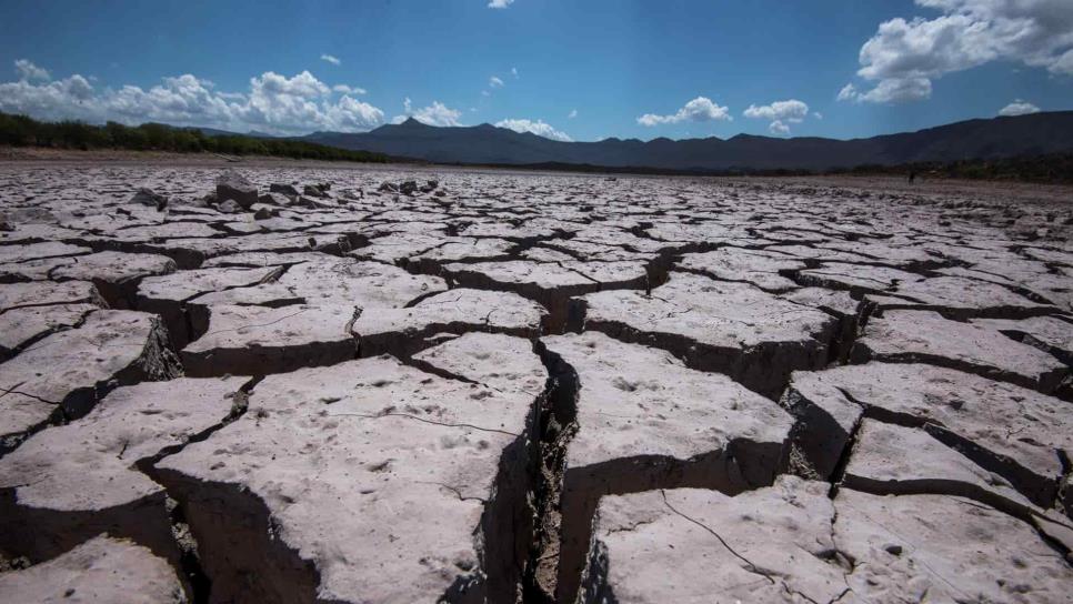 Sequía en México se debe al fenómeno de la celda de Hadley