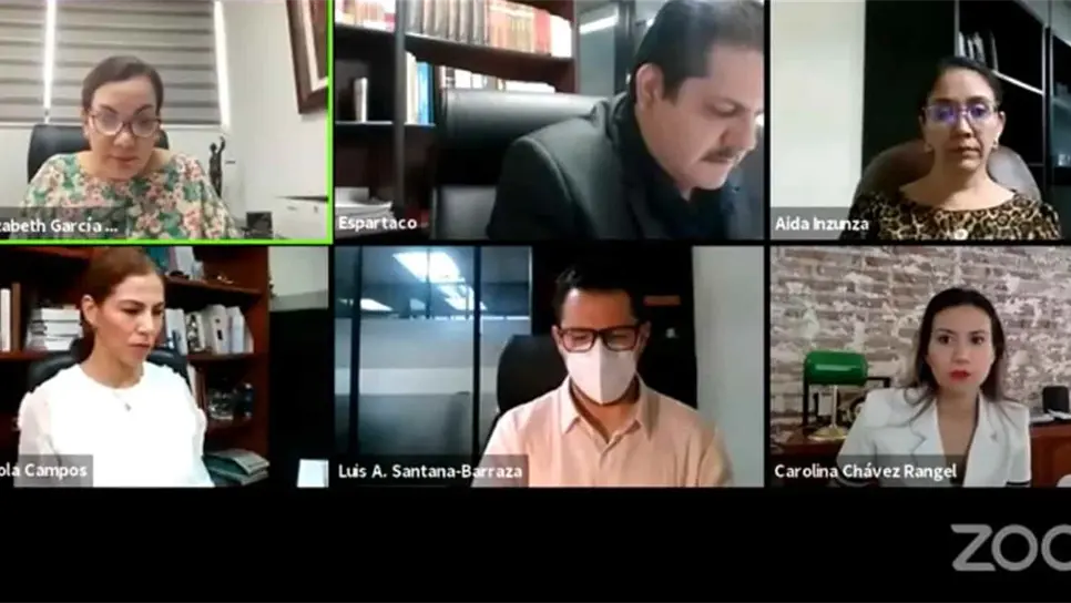 FOTO: Captura de videoconferencia.