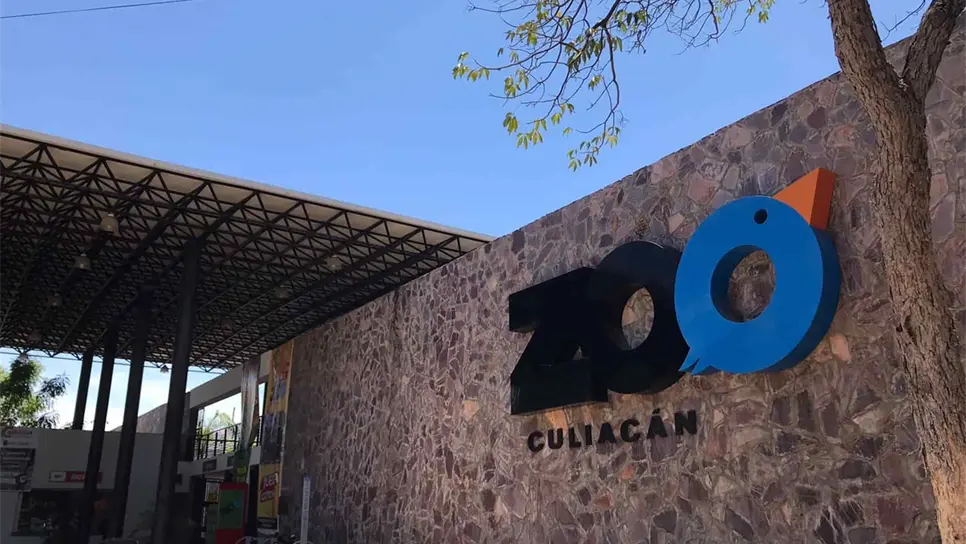 El ZOO de Culiacán ha rescatado 75 animales silvestres en 2021