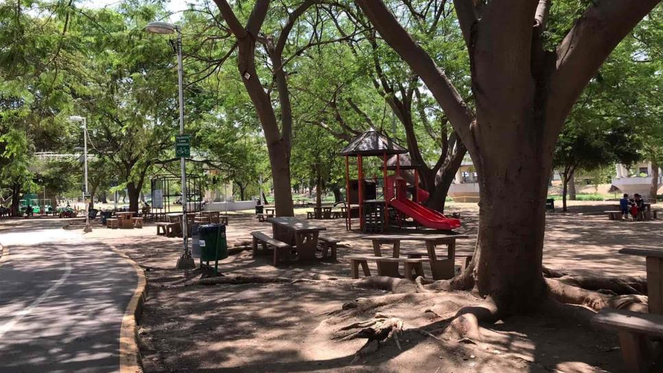 Sembrarán 400 árboles en el Parque Las Riberas de Culiacán en tres etapas