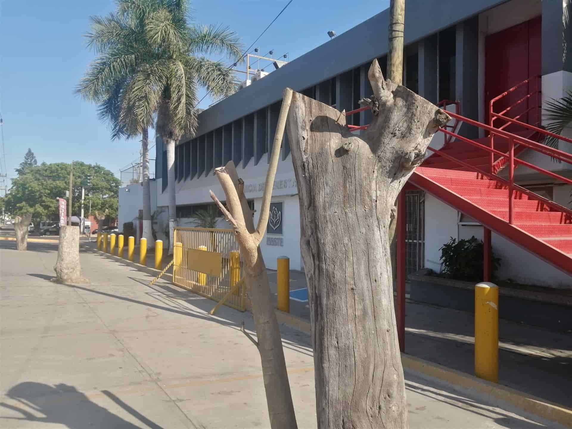 FOTOS: Jessi Jáuregui.