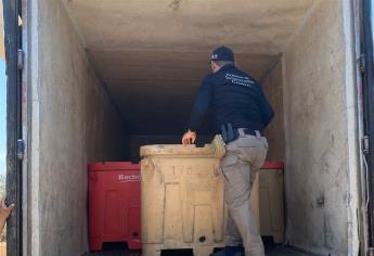 FGR asegura 7 toneladas de jaiba en El Jitzámuri