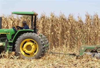 Hoy es Día del Trabajador Agrícola: ¿Sabes cuál es el valor de esta actividad en números?