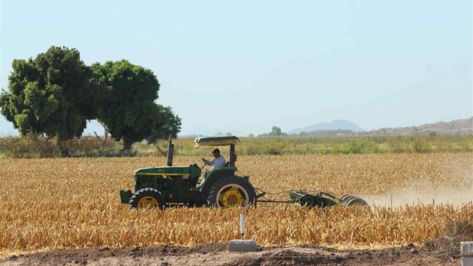 Sinaloa busca opciones de fertilizantes mientras construye GPO