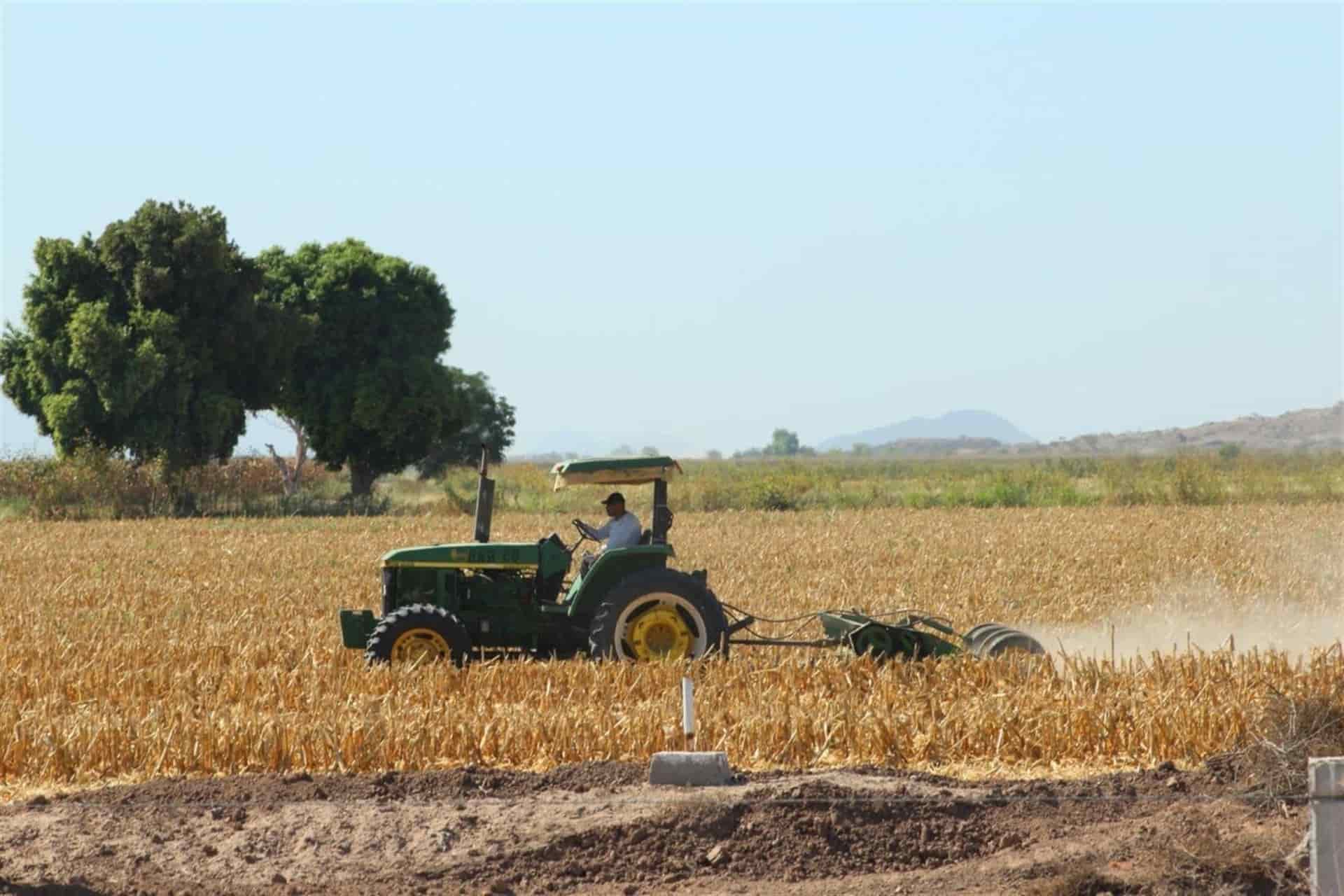 FOTO: Luz Noticias | Archivo.