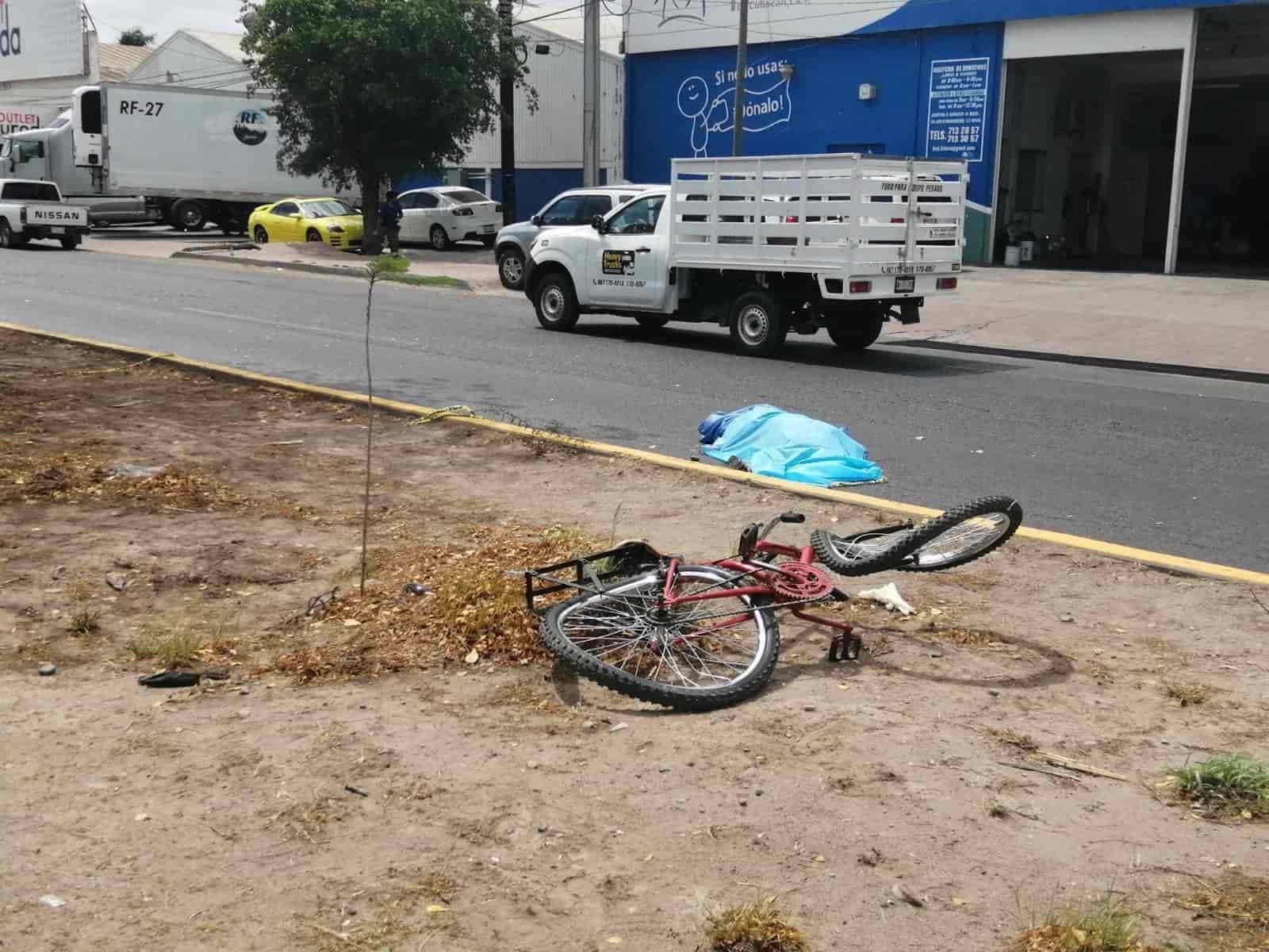 Imagen Placeholder