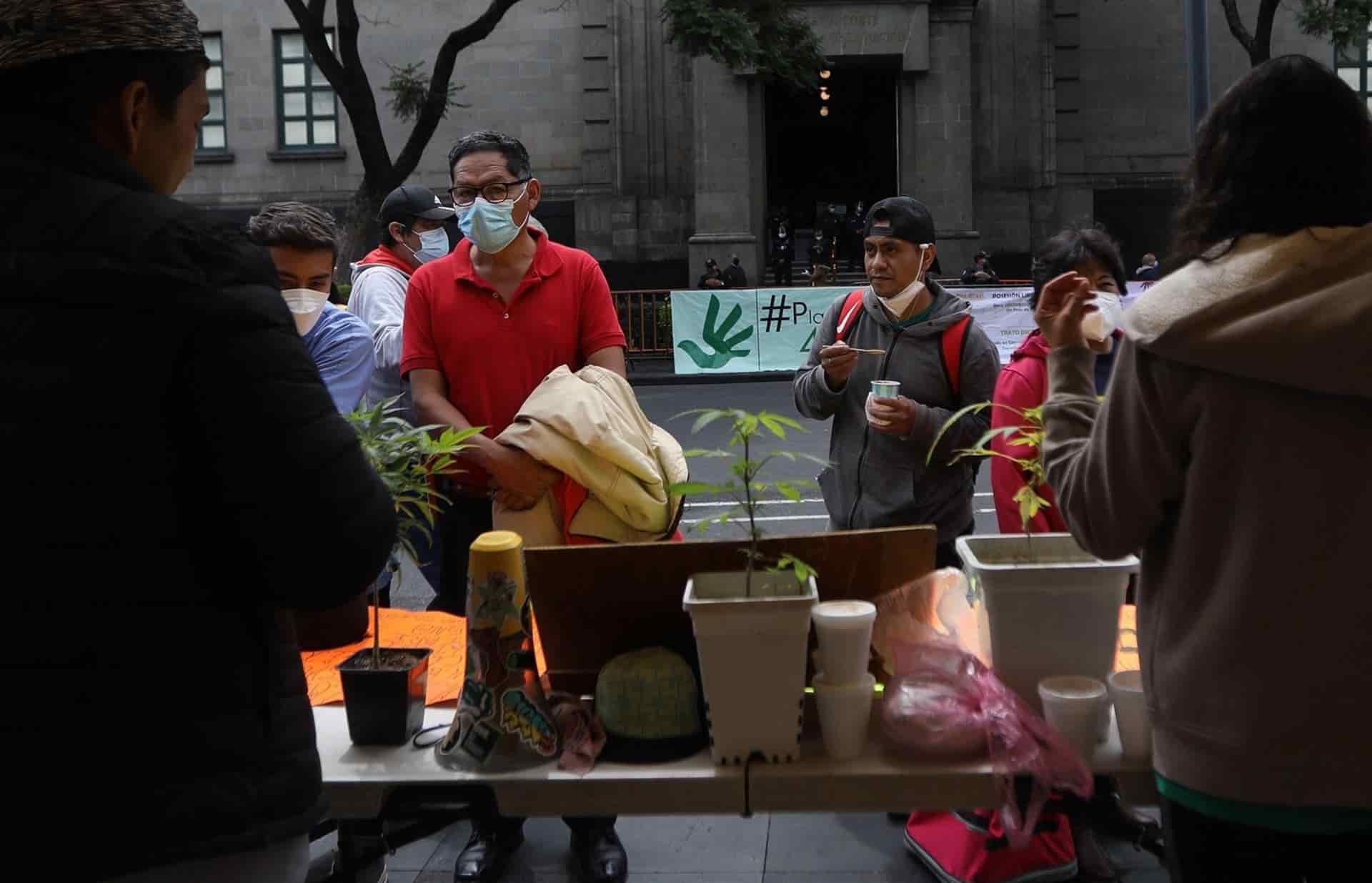 México despenaliza el consumo lúdico de mariguana pero no su comercialización