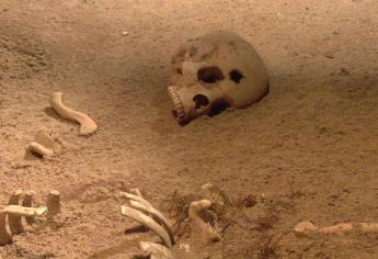 Encuentran la bacteria que causó la peste negra en un esqueleto de 5 mil años