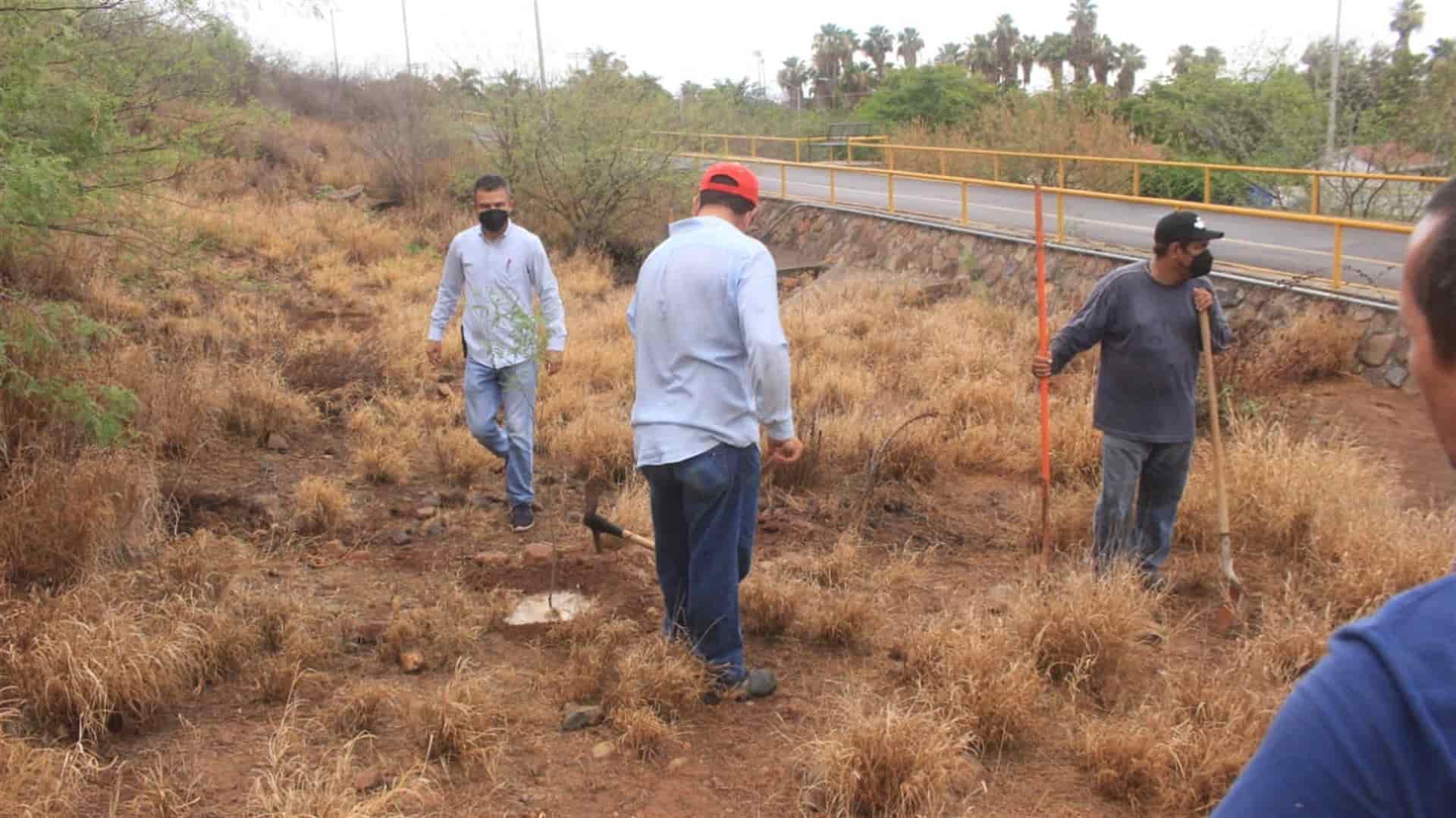 Reforestan por segunda ocasión el Cerro de la Memoria