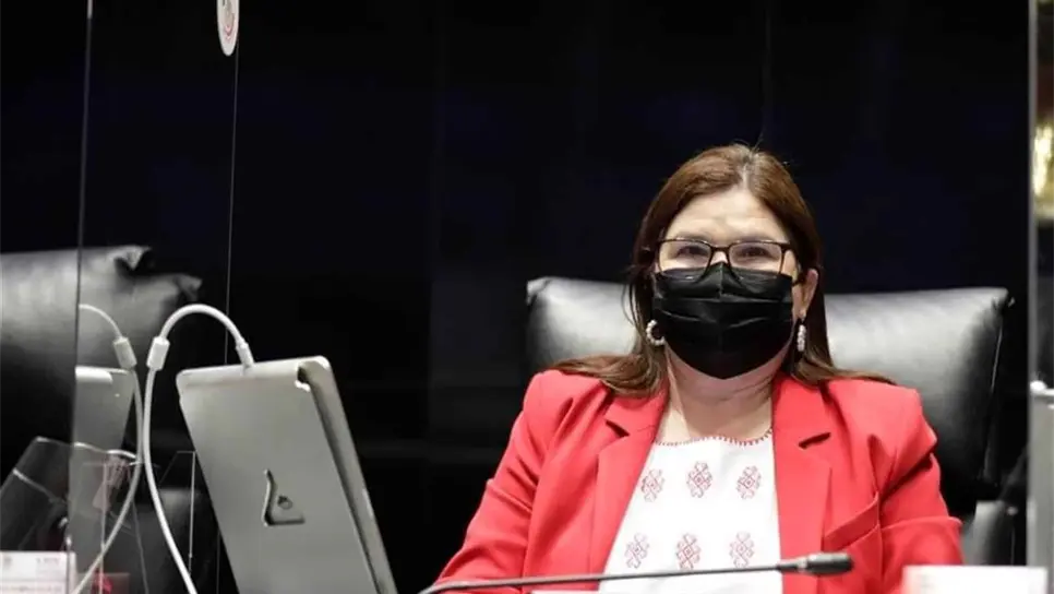 A un año del T- MEC se han beneficiado las Mipymes: Imelda Castro