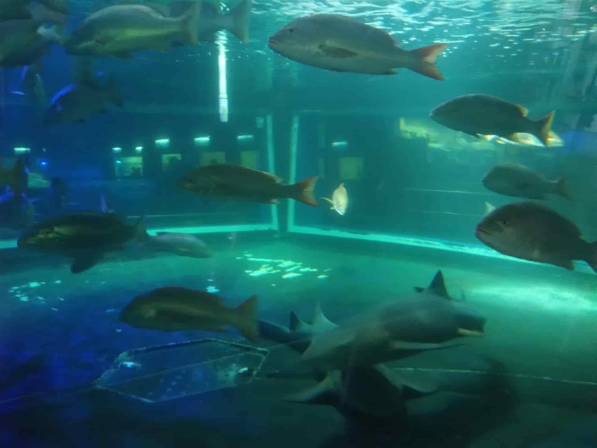 FOTO: Luz Noticias | Temática.