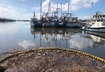 Sin la biobarda, toneladas de basura llegarían al mar todos los días en Mazatlán