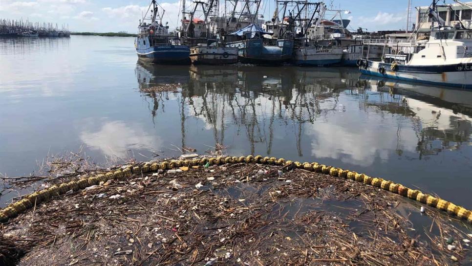 Sin la biobarda, toneladas de basura llegarían al mar todos los días en Mazatlán