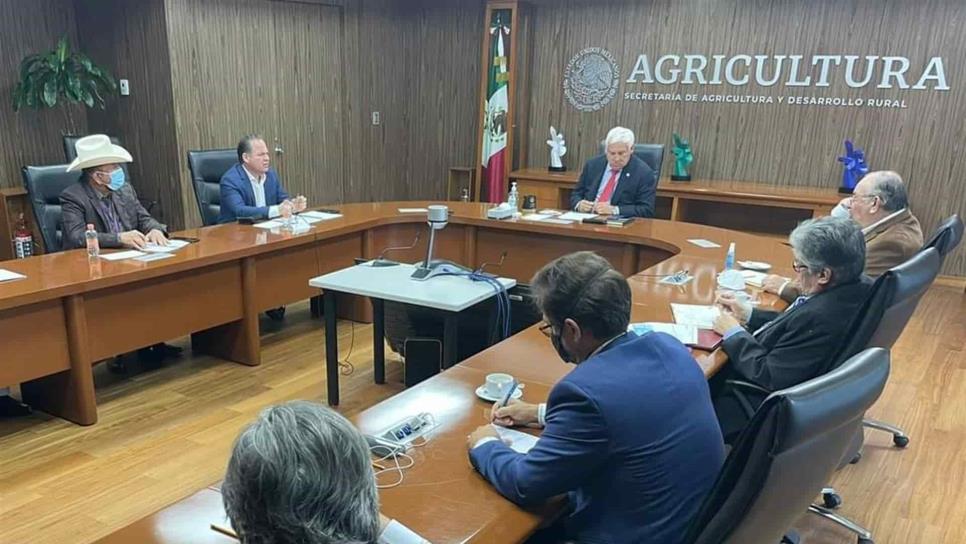 Sinaloa propone ordenamiento de mercado para próximo ciclo agrícola