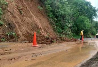 Lluvias provocan deslave de cerro y afecta viviendas en la sierra de Concordia   