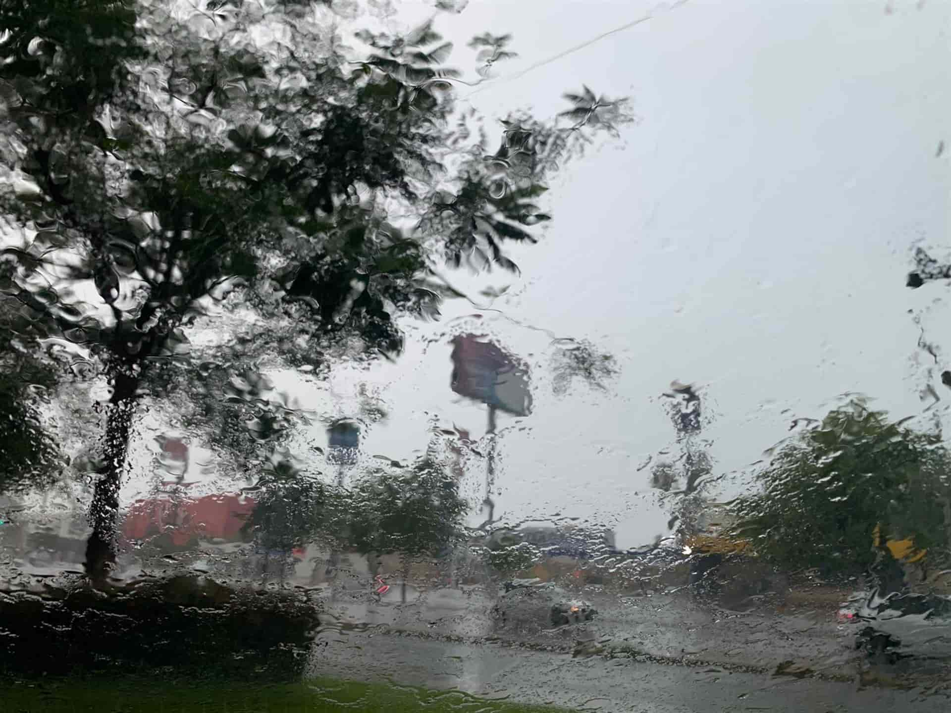 FOTOS: Brianda López y Eduardo Bórquez.