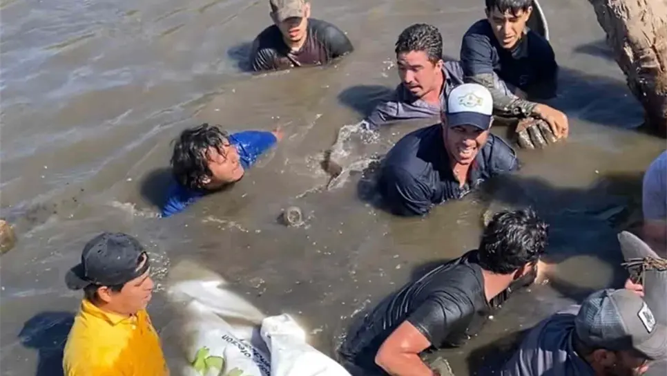 Afloran tiraderos de envases de agroquímicos en canales