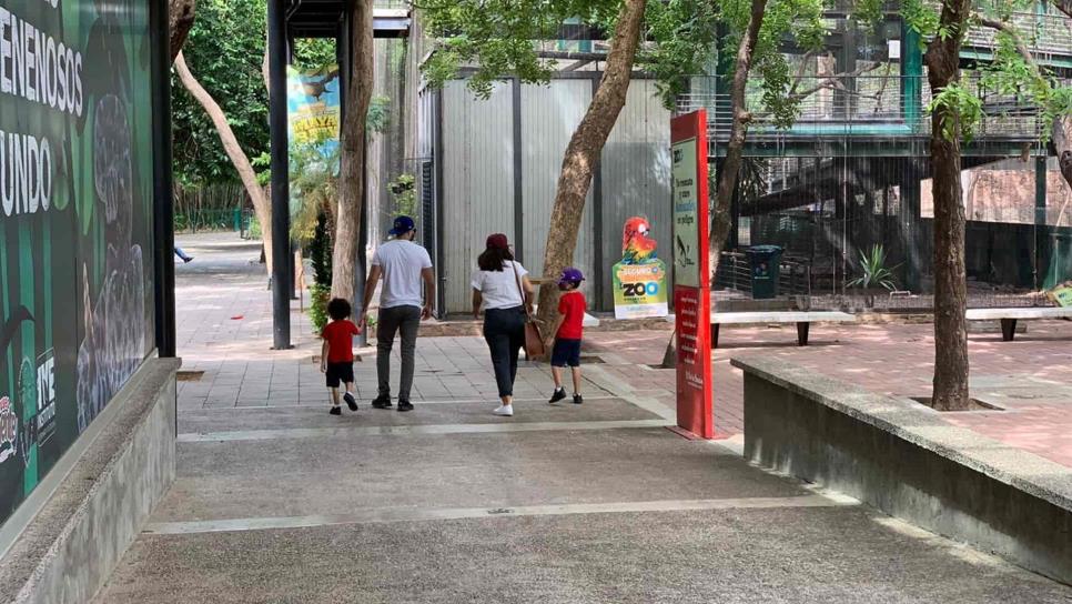 Zoológico de Culiacán no restringirá entrada a niños, pese a repunte de Covid-19