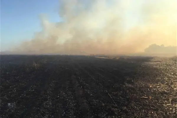 Investiga Ayuntamiento casos de quema de soca en Ahome Investiga Ayuntamiento casos de quema de soca en Ahome